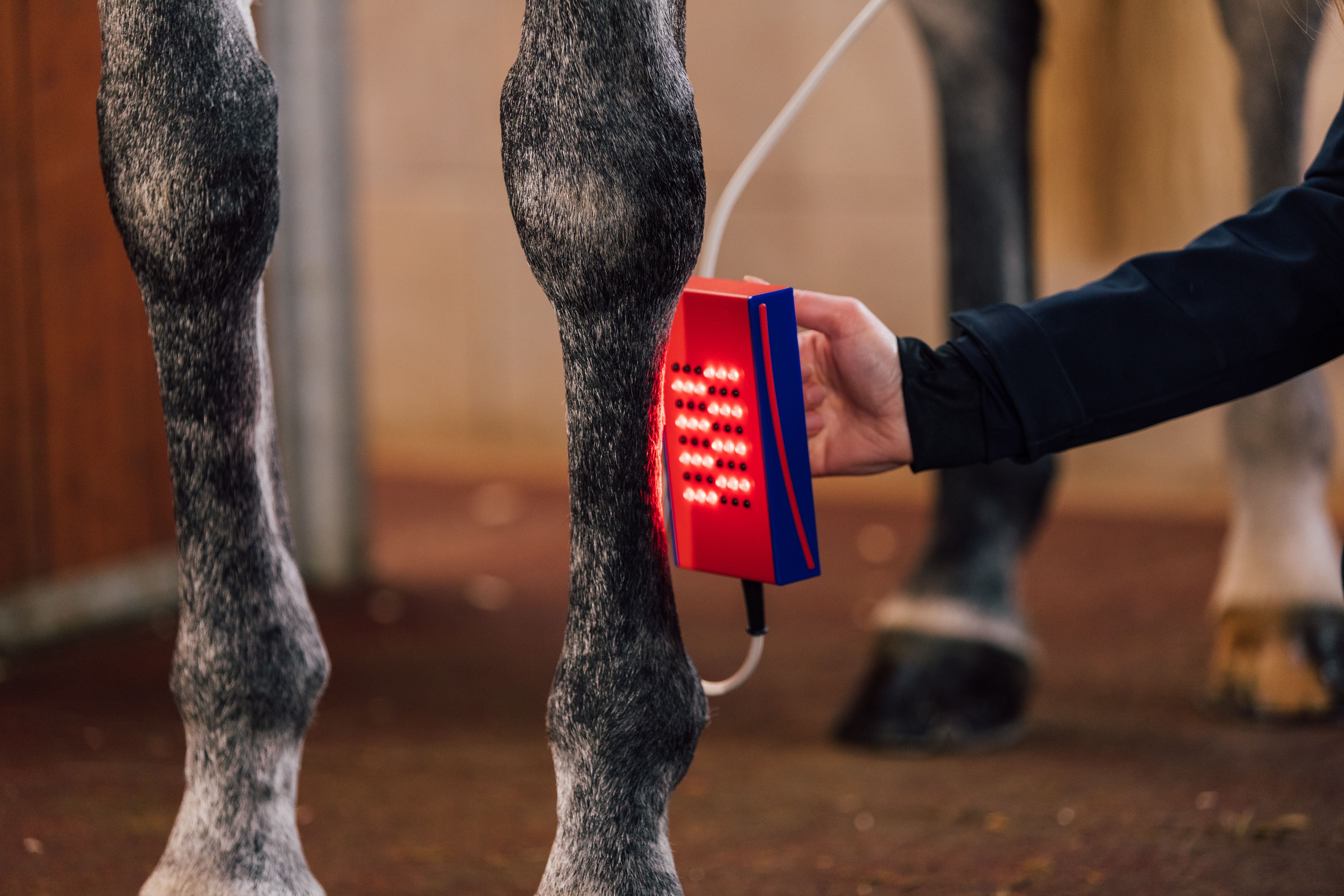 Activo-Med WLP Shower am Pferdebein