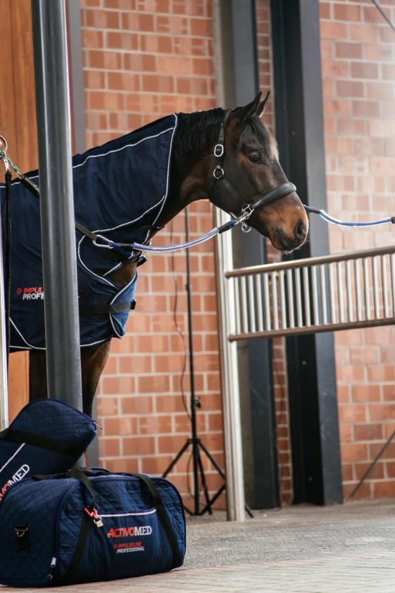 new Activomed Professional horse rug