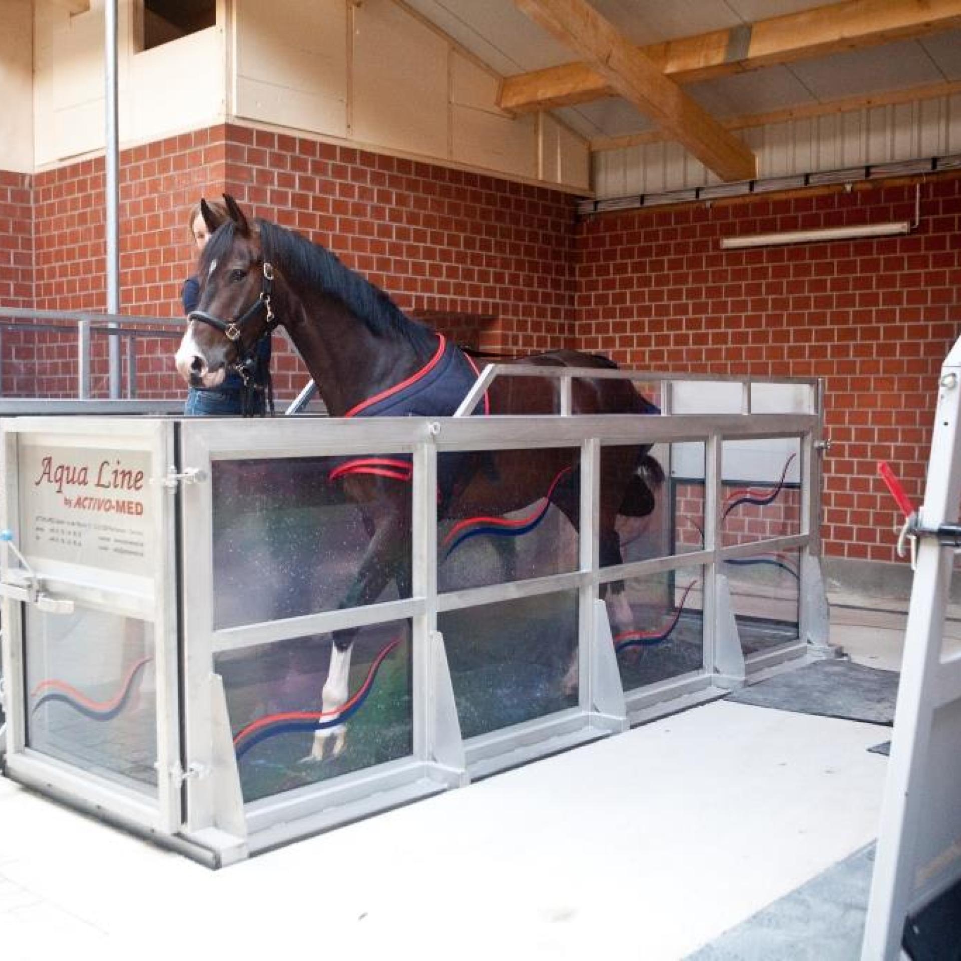 Aquamariner and Horse Spa