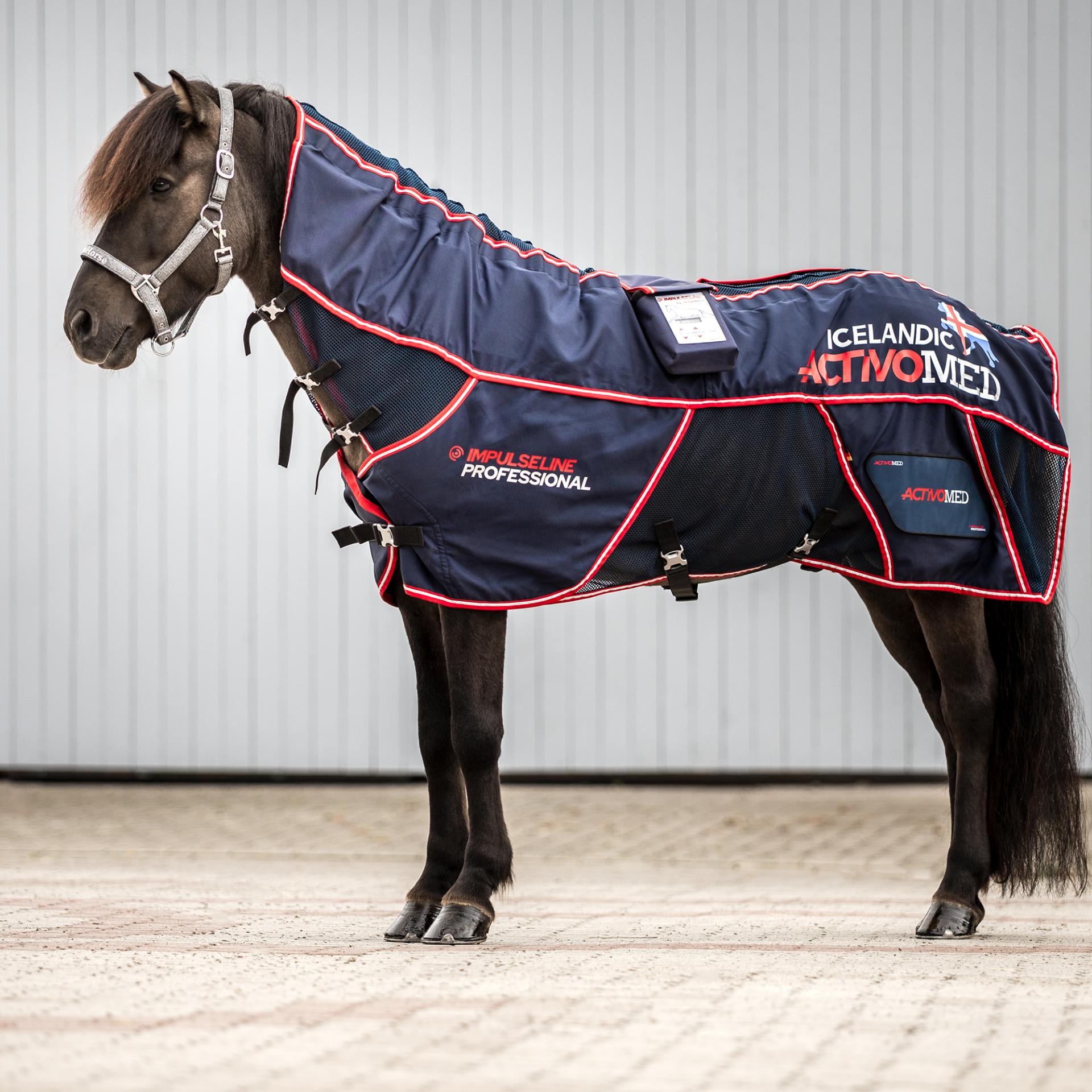 Islandpferd mit neuer Island-Decke