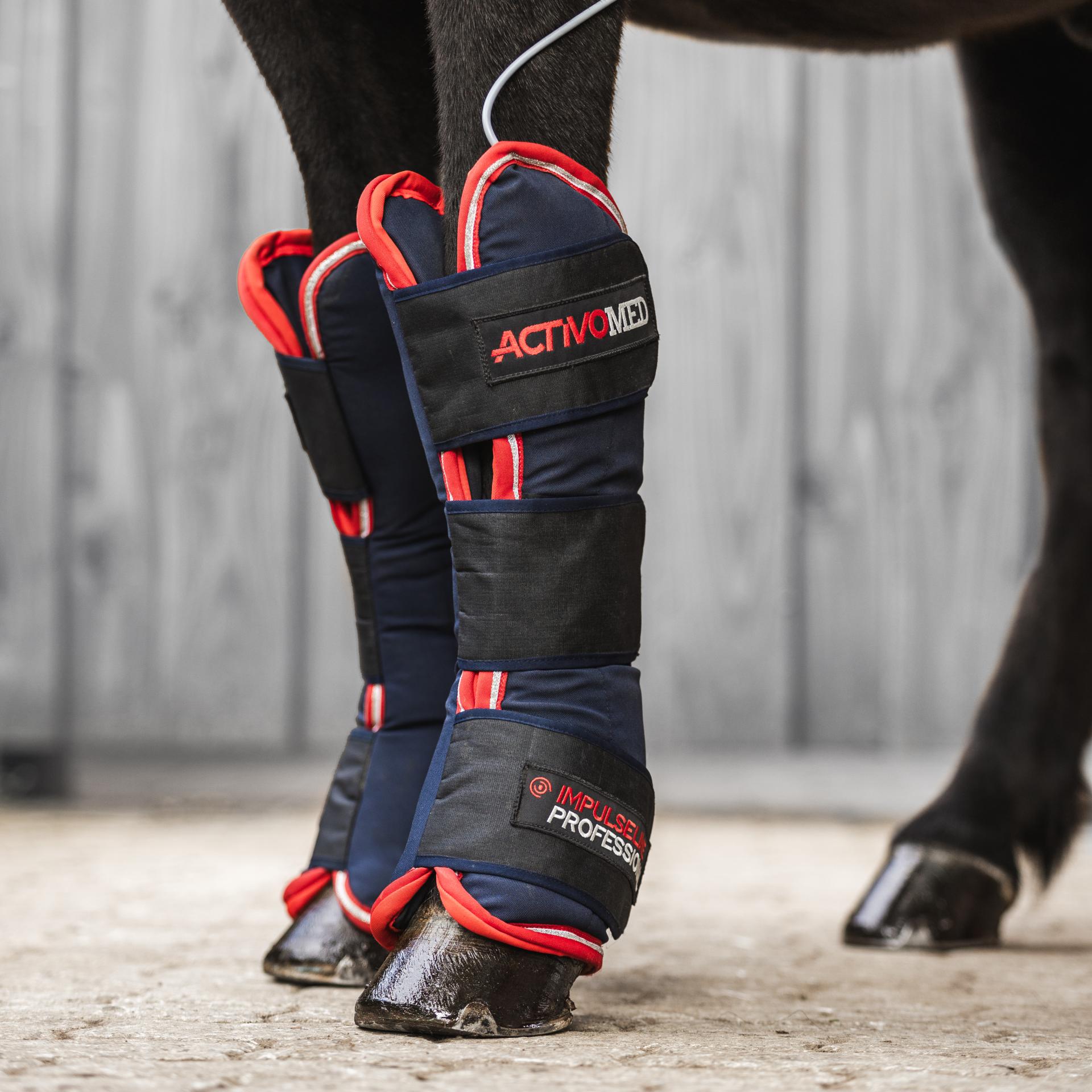 Islandpferd mit Gamaschen