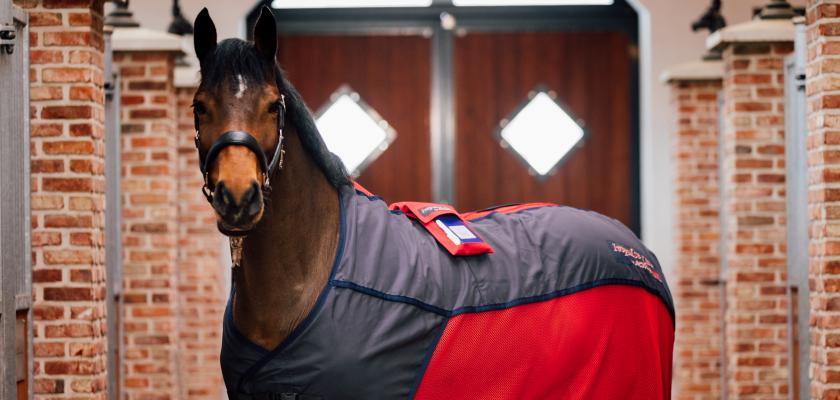 Pferd mit Activo-Med Decke Modell Relax